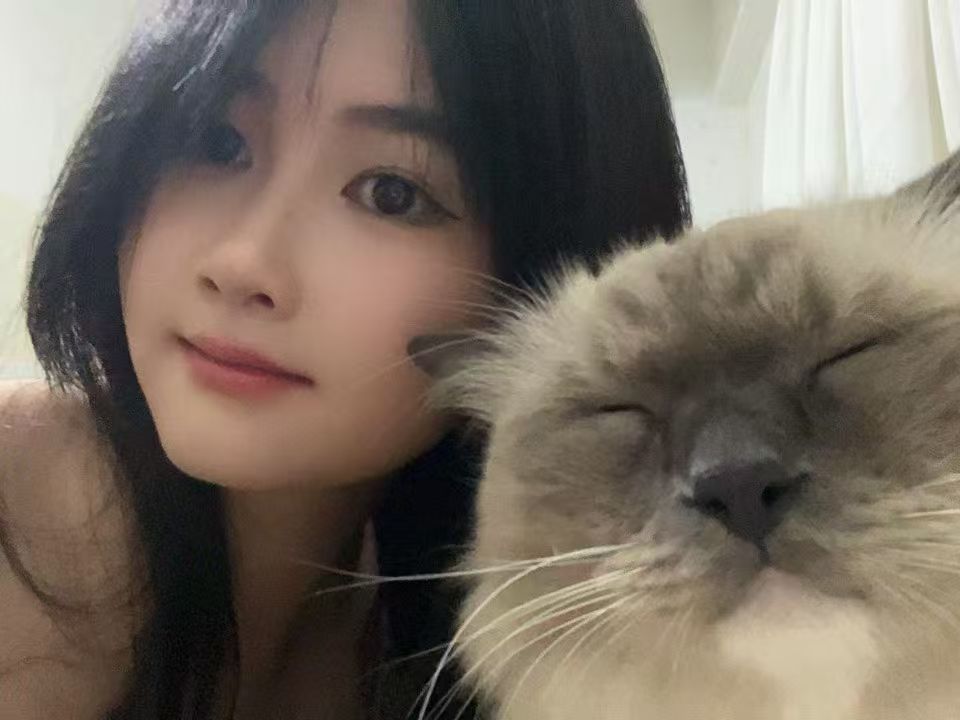 我的猫咪